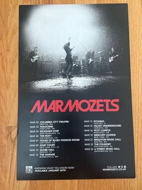 Marmozets band poster